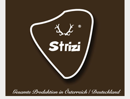 Logo Strizi